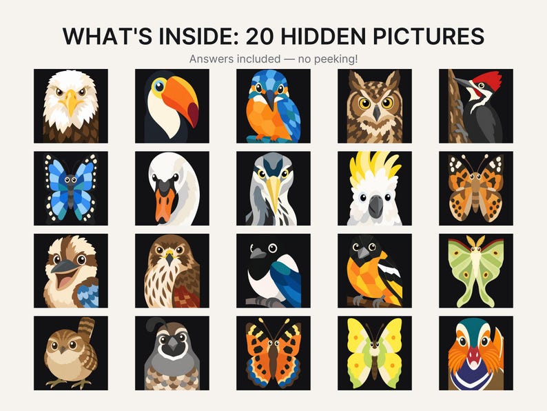 May include: A grid of 20 square illustrations featuring various birds and butterflies on black backgrounds. The text at the top reads WHAT'S INSIDE: 20 HIDDEN PICTURES and Answers included &mdash; no peeking! The colorful icons depict species like eagles, toucans, owls, and moths.