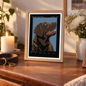 May include: A framed pixel art portrait of a brown dog against a light blue background. The artwork features a black border with white text at the top reading "MYSTERY PORTRAIT - FOR BUDDY'S HUMANS" and "2012 Hexagons 11 colors" with a legend at the bottom.