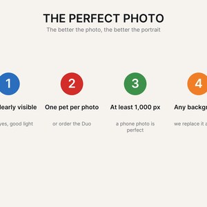 May include: An informational graphic titled THE PERFECT PHOTO with the subtitle The better the photo, the better the portrait. It features four numbered circles in blue, red, green, and orange, listing requirements for pet photos including face visibility, one pet per photo, 1,000 px resolution, and background flexibility.