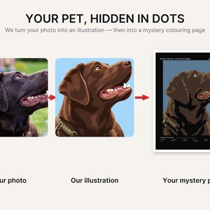 K&ouml;nnte beinhalten: Eine dreiteilige Grafik mit einem Foto eines braunen Hundes, einer digitalen Illustration desselben Hundes und einer Malvorlage mit Punkten. Der Text lautet: YOUR PET, HIDDEN IN DOTS. We turn your photo into an illustration &mdash; then into a mystery colouring page.