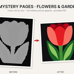 Pu&ograve; includere: 10 MYSTERY PAGES &bull; FLOWERS & GARDENS. Colour dot by dot &mdash; the hidden picture appears &middot; printable PDF. Un confronto prima e dopo che mostra una pagina nera con punti bianchi che formano il contorno di un tulipano e un'illustrazione finita.