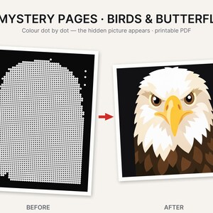 May include: A digital activity set titled 20 MYSTERY PAGES &middot; BIRDS & BUTTERFLIES. It shows a before and after comparison of a dot-to-dot puzzle. The before image is a black square with white dots, and the after image is a colored bald eagle.