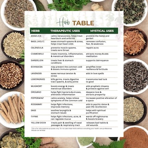 May include: A detailed chart titled "Herb TABLE" lists various herbs, their therapeutic uses, and mystical uses. The image includes bowls of herbs surrounding the chart, such as angelica, basil, calendula, chamomile, dandelion, echinacea, lavender, lemongrass, mugwort, oregano, peppermint, rosemary, sage, thyme, and yellow dock.
