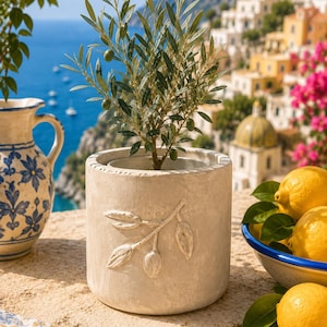Peut inclure: Un pot de fleurs cylindrique beige orné d'un relief représentant une branche d'olivier sur sa paroi extérieure. Le pot contient un petit olivier aux feuilles vertes et aux petites olives. Le design est sobre, avec une texture mate.