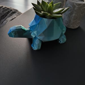 Peut inclure: Un pot de fleur en forme de tortue géométrique bleu et vert, contenant une plante succulente verte. Le pot a un design à facettes. Des vases décoratifs gris sont en arrière-plan.