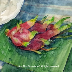 Watercolor painting - Dragonfruit on banana leaves