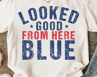 Looked Good From Here Blue PNG, Funny Baseball Umpire Quote, Game Day Digital Download