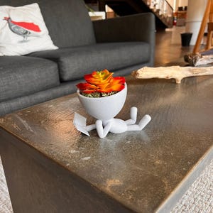 May include: A white, whimsical planter shaped like a person reclining and reading a book. The planter holds a vibrant orange and yellow succulent. The figure is on a dark, textured coffee table.