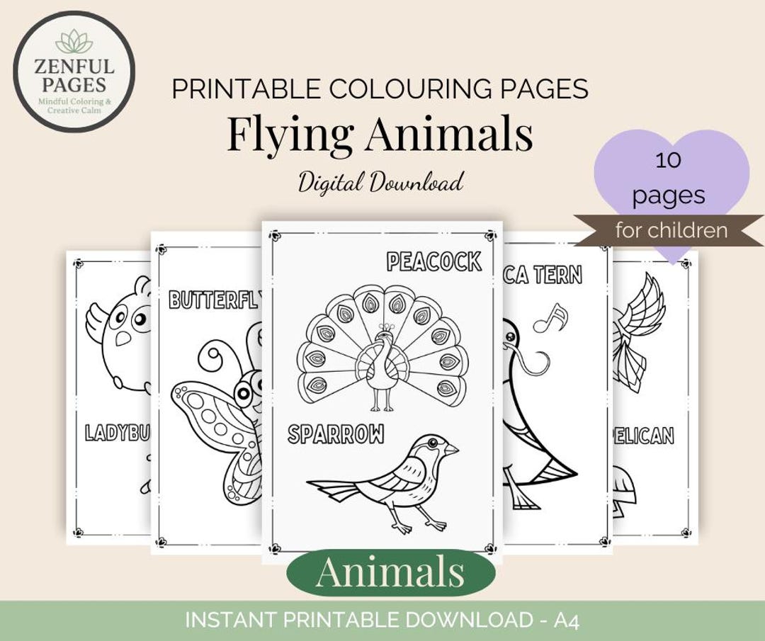 Printable Flying Animal Colouring Pages for Kids A4 Digital Download ...