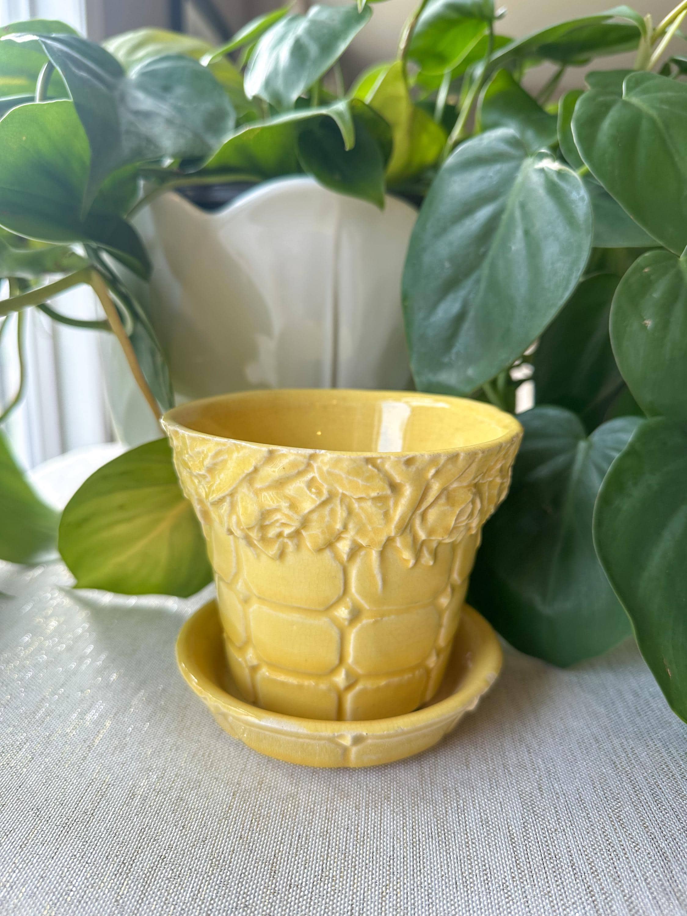 Mccoy Collectibles - Etsy