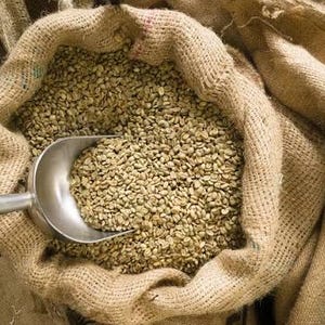 May include: A burlap sack filled with green coffee beans, with a metal scoop partially submerged in the beans. The sack is open, revealing the contents. The beans are a light green color.