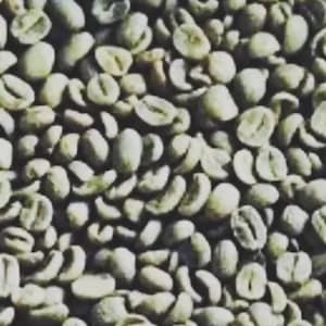 May include: Close-up shot of a pile of raw, unroasted coffee beans. The beans are a pale green color, with a slightly elongated shape and a visible crease down the center. The image is well-lit, highlighting the texture and details of the beans.