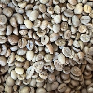 May include: Close-up of a pile of raw, unroasted coffee beans. The beans are a mix of pale green and tan, with visible grooves and textures. The image highlights the natural, unprocessed state of the coffee beans.