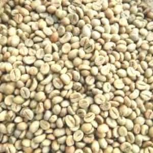 10 lbs Sumatra Grade 1 Coffee Beans: Harvest 2024, Dark Chocolate & Spice