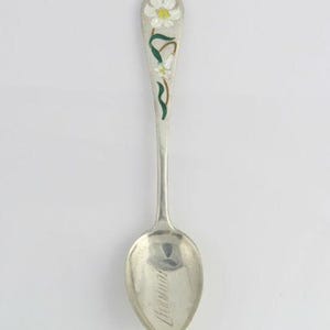 Cuillère de voyage Bermudes - Fleurs de collection émaillées en argent sterling 11,7 g