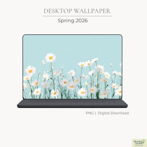 Tapeta na pulpit Daisy, pastelowe niebieskie tło kwiatowe na laptopa, tło wiosenne, pobierz