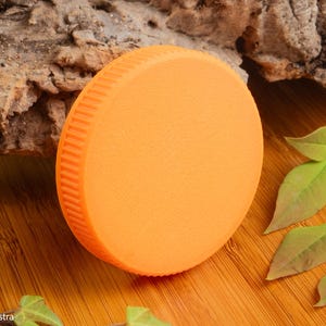 Puede incluir: Un objeto redondo y naranja con una superficie texturizada y un borde estriado. El objeto est&aacute; sobre una superficie de madera con hojas verdes y un trozo de corteza en el fondo. Parece ser una tapa o cubierta.