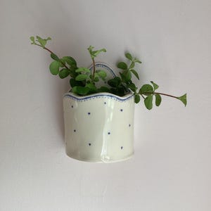 May include: A white ceramic wall planter with a scalloped top edge and a blue dotted pattern. The planter features a small back plate for mounting and contains a green leafy plant with thin stems extending outward from the opening.
