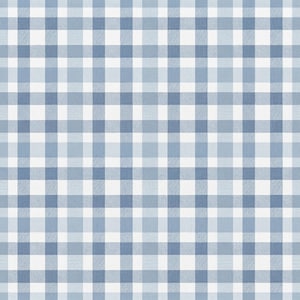 Puede incluir: Un patrón de tela que presenta un diseño de cuadros vichy repetitivo en tonos azul claro, azul medio y blanco. La cuadrícula consiste en rayas horizontales y verticales que se cruzan en varios tonos de azul, creando una apariencia textil tejida clásica.
