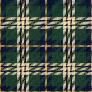 May include: A textile pattern featuring a classic tartan plaid design. The fabric displays a grid of intersecting lines in dark forest green, navy blue, cream, and thin golden yellow stripes, creating a repeating geometric check motif.
