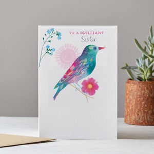 Briljante zuskaart, kleurrijke vogelkaart, blanco zusterkaart, LT054