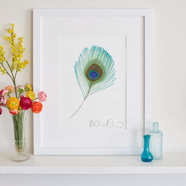 Peacock Feather Print, Green Nature Art