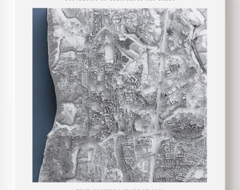UC San Diego Campus Map Print | Custom UCSD LiDAR Shaded Relief Art (Graduation Gift)