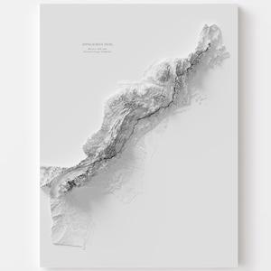 Puede incluir: Impresión en relieve en escala de grises del sendero de los Apalaches. La obra de arte presenta una representación topográfica detallada del sendero, con diferentes tonos de gris creando un efecto 3D. La impresión está montada sobre un fondo blanco.