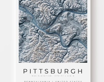 Pittsburgh Topography Map Art | Buildings & Rivers HD Topo Print