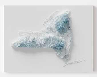 New York Topographic Map Print | NY Shaded Relief Wall Art