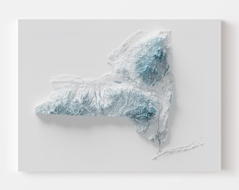 New York State Topographic Map Print | Adirondacks and Catskills Shaded Relief Wall Art