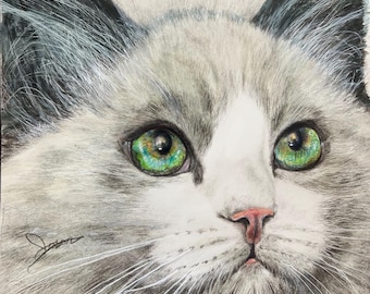 写真から手描きされた色鉛筆の猫の肖像画、美術館品質のリアルなペットアートワーク