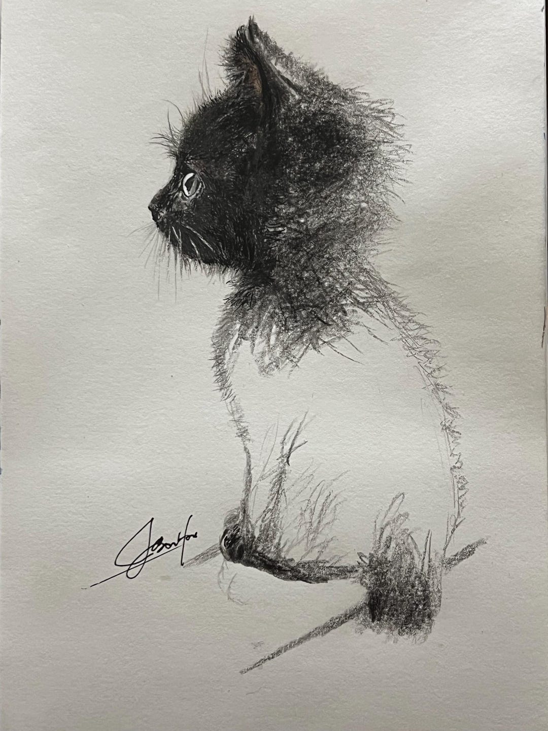 Custom Pencil Pet Portrait From Photo – Hand Drawn Cat Portrait ...