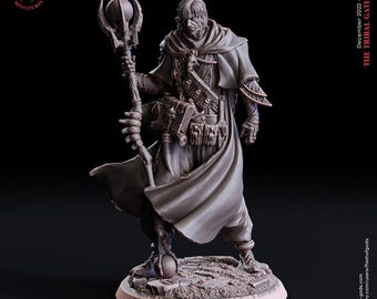 Shadow wanderer  / wizard / mage / sorcerer / warlock / shadow / pathfinder / dnd / flesh of god / 3d print / tabletop miniature