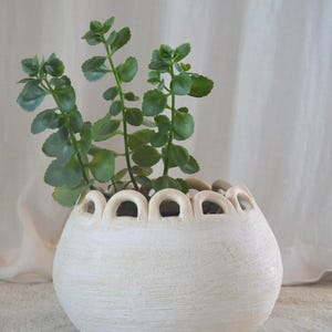 Peut inclure: Un pot de fleurs en céramique texturée de couleur crème avec un bord festonné unique. Le pot rond contient une plante verte vibrante avec de multiples tiges et feuilles. Le pot est un élément décoratif pour la décoration intérieure.