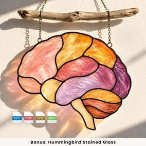 May include: A stained glass brain ornament featuring multicoloured segments in shades of pink, orange, yellow, and purple, outlined in black metal. The piece hangs from a natural driftwood branch by two metal chains. Includes SVG, PDF, JPG, and PNG icons.