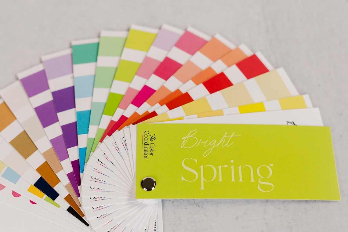 True Spring Swatch Wallet Bright Spring Swatch Book / Color Fan - Etsy