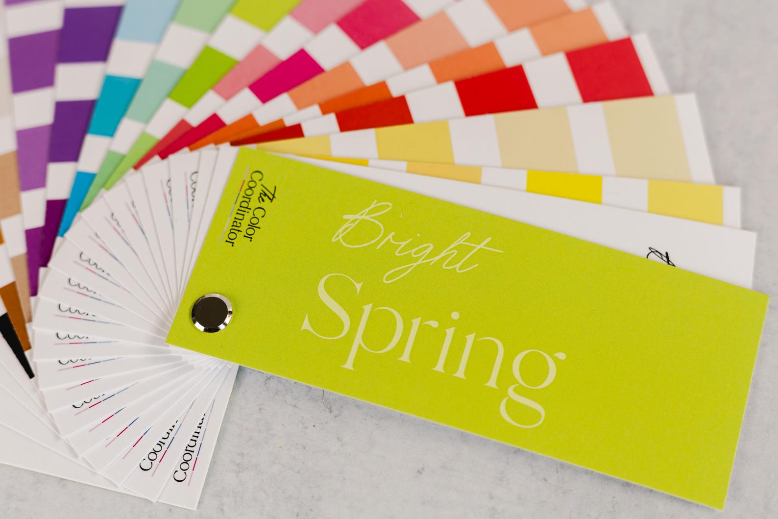 True Spring Swatch Wallet Bright Spring Swatch Book / Color Fan - Etsy