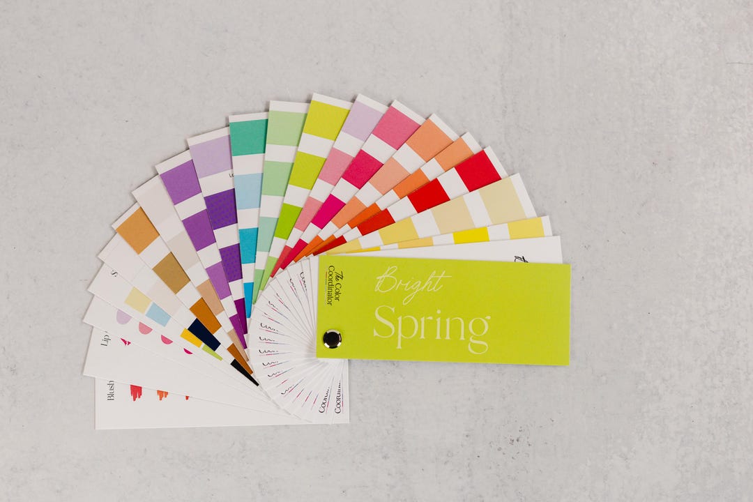 True Spring Swatch Wallet Bright Spring Swatch Book / Color Fan - Etsy