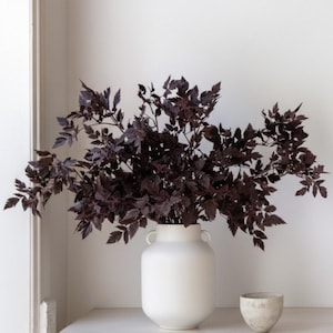 May include: A white ceramic vase with two handles holds dark burgundy-colored leafy branches. A small, textured, light gray bowl sits to the right of the vase. The arrangement is on a light-colored surface against a white wall.