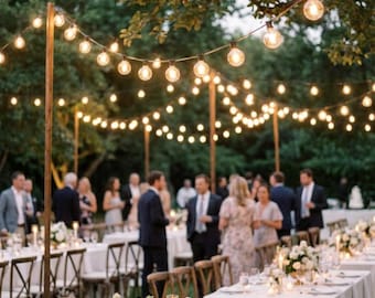 Battery Operated Globe String Lights | Clear Bulbs, 8 Modes, Outdoor Wedding Decor