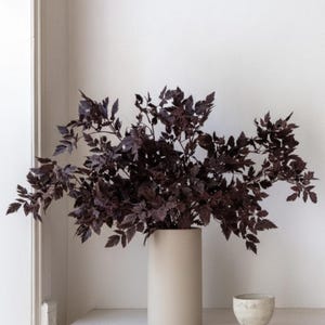 May include: A beige cylindrical vase holds a large arrangement of dark purple leaves. A small, textured, off-white bowl sits to the right of the vase. The objects are on a light-colored surface against a white wall.