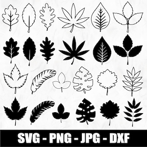 Può includere: Una collezione di vari disegni di foglie in bianco e nero. Le foglie includono stili di acero, quercia e tropicali. L'immagine include anche il testo "SVG - PNG - JPG - DXF" in basso.