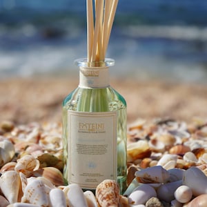 Puede incluir: Un difusor de vidrio transparente con varillas de madera, lleno de un líquido verde claro. La botella está etiquetada como "FXTEINI" y "ILLUMINATE YOUR SENSES". La botella está sobre un lecho de conchas marinas.