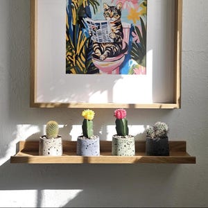 Foamed Ceramic Mini Planter | Succulent & Cactus Planter | Minimalist Stone Texture Pot