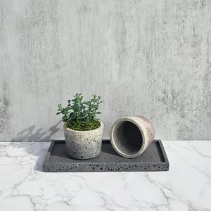 May include: A small, round concrete planter with a gradient gray and white finish, holding a green plant. Beside it, a matching empty planter lies on its side on a rectangular gray tray. The background is a textured gray wall.