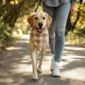 Herfst geruite huisdierenbandana: gezellige herfst honden-kattensjaal
