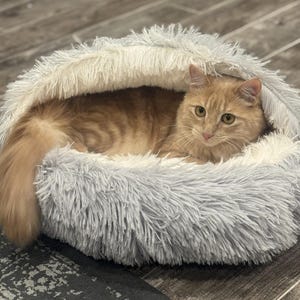 Può includere: Un gatto tabby arancione riposa all'interno di un morbido e soffice lettino per animali domestici. Il letto ha la forma di una ciambella con un esterno soffice grigio e un interno color crema. Il gatto è rannicchiato, guardando direttamente la fotocamera.