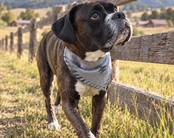 Dog Bandana Tie On | Wool Blend Dog Bandana | Remnant Fabric Pet Bandana | Minimalist Dog Accessory | Greys | Canada US Free Shipping