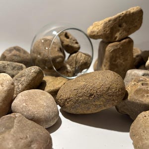 Texas Titan Stone Bull Rock